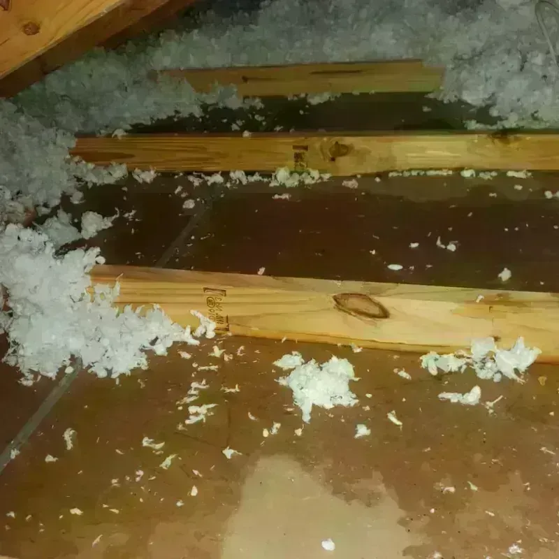 Attic Water Damage in Rosharon, TX