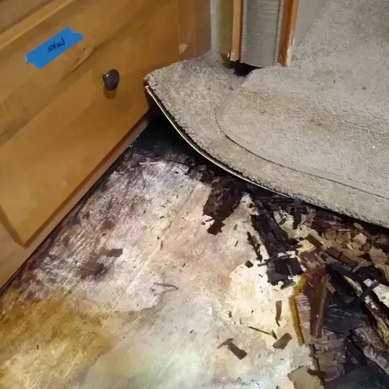 Wood Floor Water Damage in Rosharon, TX